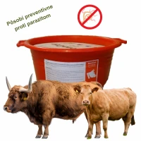 Liz Bona Con Beef 16 kg