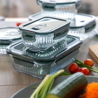 AMBITION Rillet – Obdĺžniková žiaruvzdorná nádoba s vekom, 370 ml