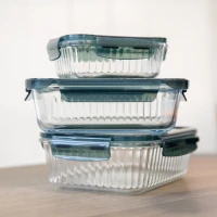 AMBITION Rillet – Obdĺžniková žiaruvzdorná nádoba s vekom, 370 ml