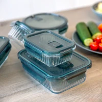 AMBITION Rillet – Obdĺžniková žiaruvzdorná nádoba s vekom, 370 ml