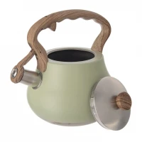 Čajník 3L nerez Greenish