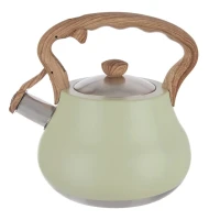 Čajník 3L nerez Greenish