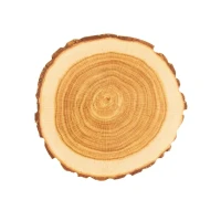 Podložka pod pohár 10cm/10ks Wooden