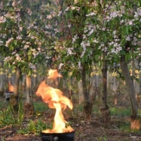 Sviečka proti mrazu 4,5kg (144/paleta)