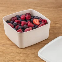 Dóza 0,65l UH Frost