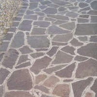 HG čistič terasových dlaždíc 1l