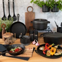 Liatinový hrniec s pokrievkou Iron 24 cm AMBITION – Robustný základ vašej kuchyne