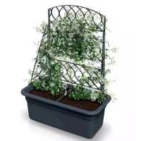 Truhlík 58x28,8cm s pergolou