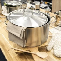 Rajnica nerez 21,5L Stock s pokrievkou