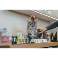 Krmivo mačky Brit Care Soup 75g Krmivo mačky Brit Care Soup 75g