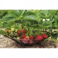 Podložka opora na jahody