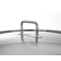 Rajnica nerez 22,3L  Stock s pokrievkou