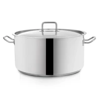 Rajnica nerez 22,3L  Stock s pokrievkou