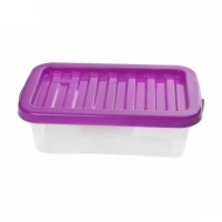 Box s poklopom Quasar 7L I.