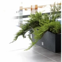 Truhlík 50cm samozavlažovací mocca