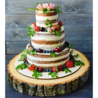 Nastaviteľná nerezová forma na torty a koláče – priemer 15–30 cm