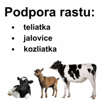 Liz minerálny Block Junior 25kg - podpora rastu mladých zvierat