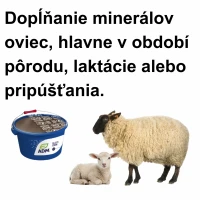 Liz minerálny Block Ovin 25kg