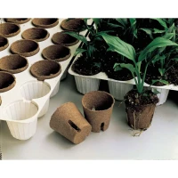 Sadbovač Jiffy 8cm/12ks